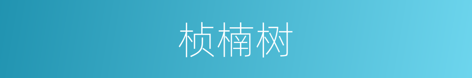 桢楠树的同义词