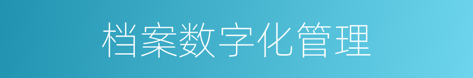 档案数字化管理的同义词