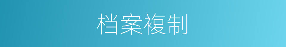 档案複制的同义词