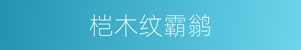 桤木纹霸鹟的同义词