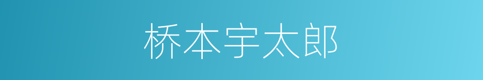 桥本宇太郎的同义词