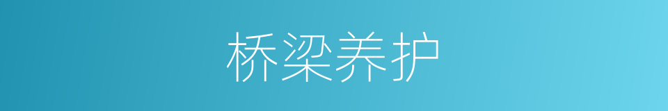 桥梁养护的同义词