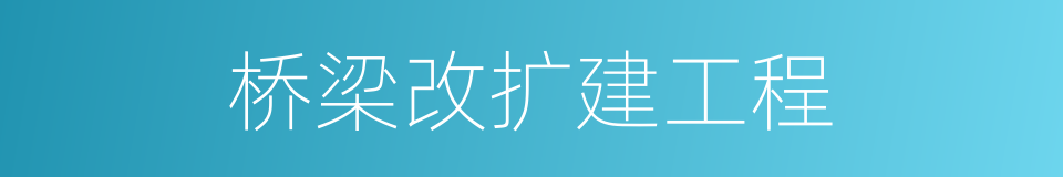 桥梁改扩建工程的同义词