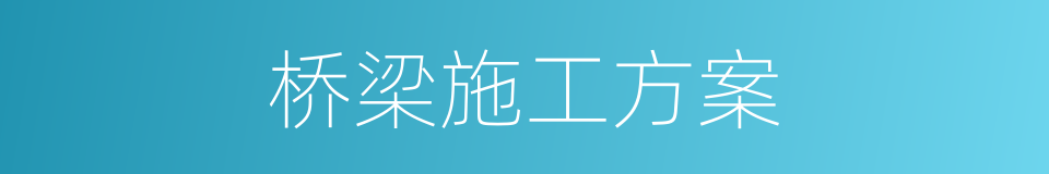 桥梁施工方案的同义词