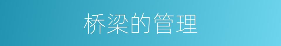 桥梁的管理的同义词