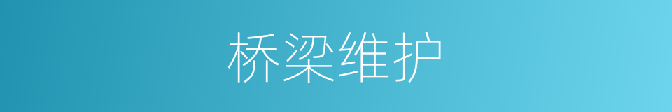 桥梁维护的同义词
