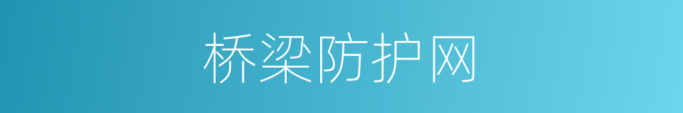 桥梁防护网的同义词