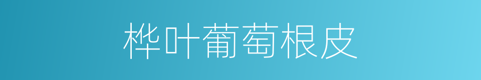 桦叶葡萄根皮的同义词
