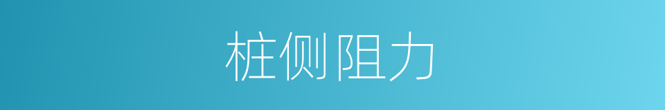 桩侧阻力的同义词