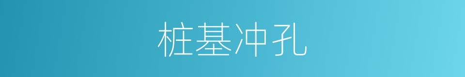 桩基冲孔的同义词