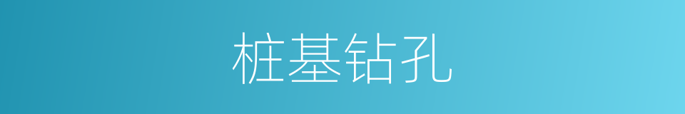 桩基钻孔的同义词