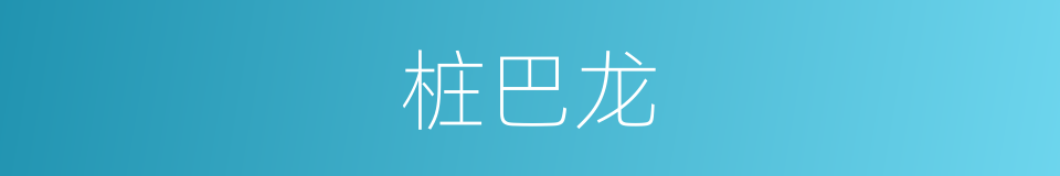 桩巴龙的同义词