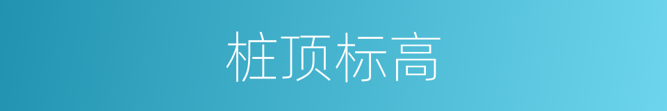 桩顶标高的同义词