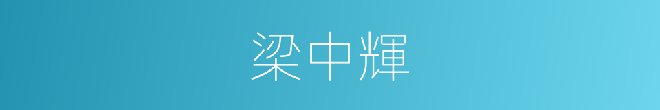 梁中輝的同義詞