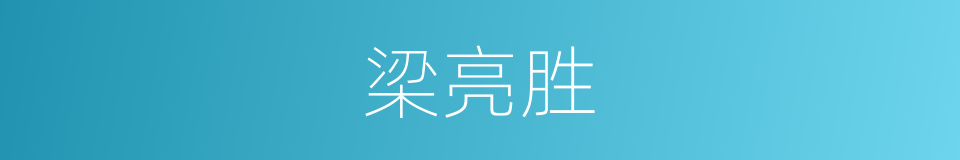 梁亮胜的同义词