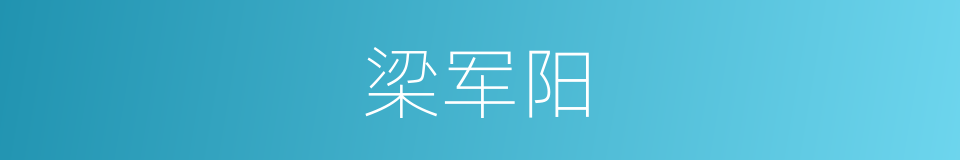 梁军阳的同义词