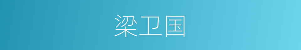 梁卫国的同义词