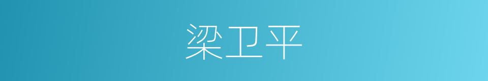 梁卫平的同义词