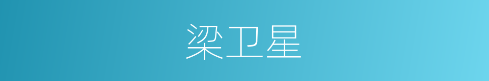 梁卫星的同义词