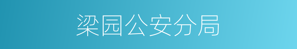 梁园公安分局的同义词