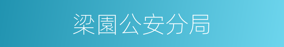 梁園公安分局的同義詞