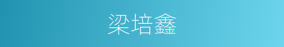 梁培鑫的同义词