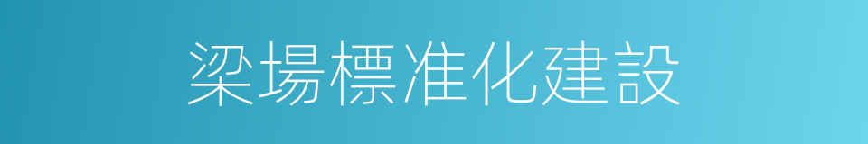 梁場標准化建設的同義詞