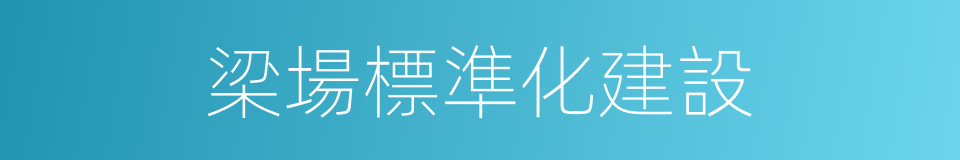 梁場標準化建設的同義詞