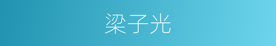 梁子光的同义词