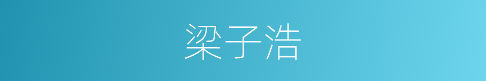 梁子浩的同义词