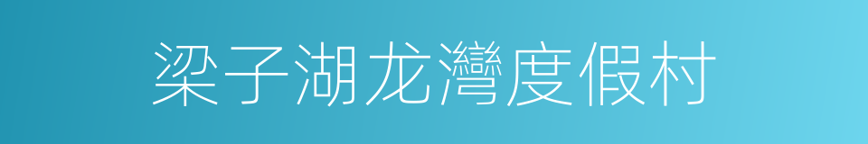 梁子湖龙灣度假村的同義詞
