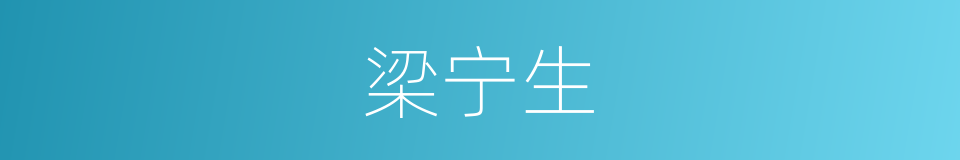 梁宁生的同义词