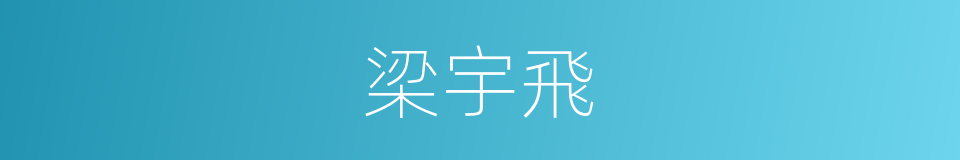 梁宇飛的同義詞