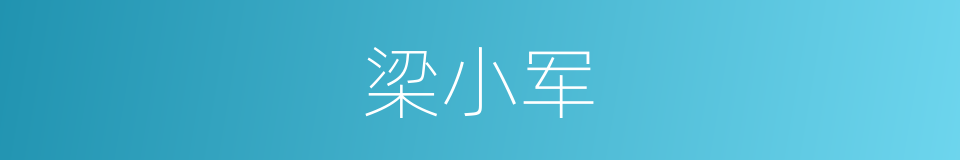 梁小军的同义词