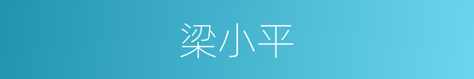 梁小平的同义词