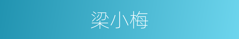 梁小梅的同义词
