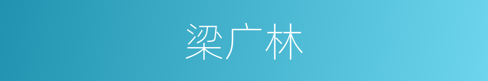 梁广林的同义词