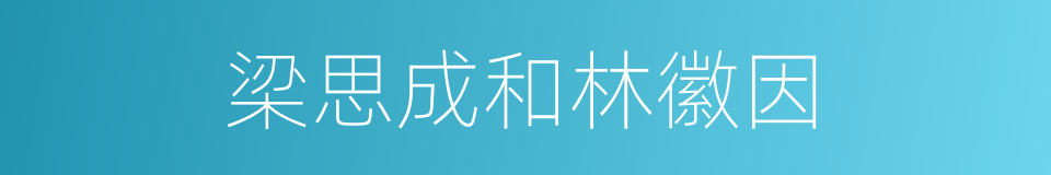 梁思成和林徽因的同义词