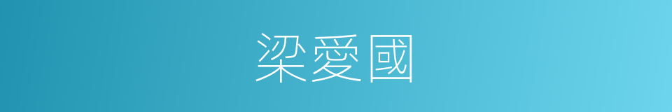 梁愛國的同義詞