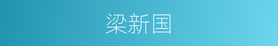 梁新国的同义词