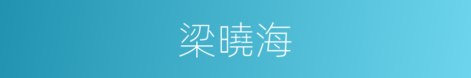 梁曉海的同義詞