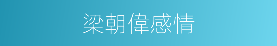 梁朝偉感情的同義詞
