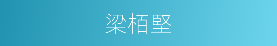 梁栢堅的同義詞