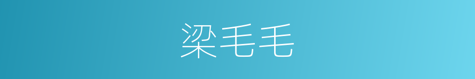 梁毛毛的同义词