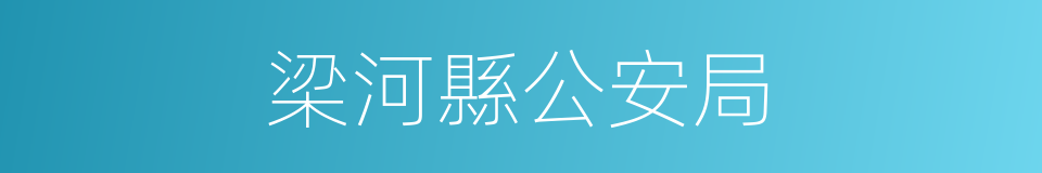 梁河縣公安局的同義詞