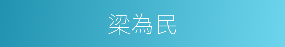 梁為民的同義詞