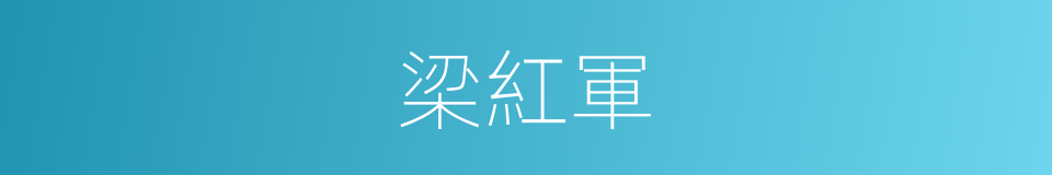 梁紅軍的同義詞