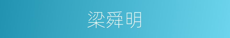 梁舜明的同义词