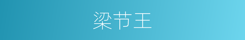 梁节王的同义词