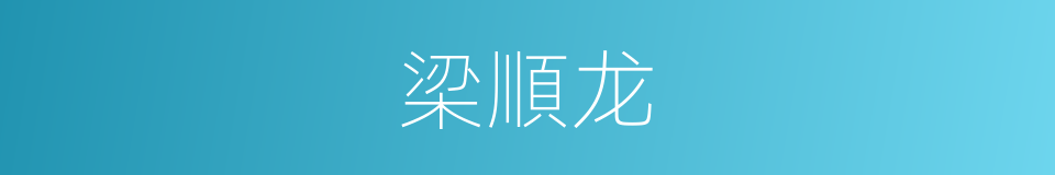 梁順龙的同義詞
